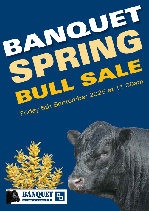 167054_Spring-Sale-Catalogue-(Aug2025)_SPREADS-1