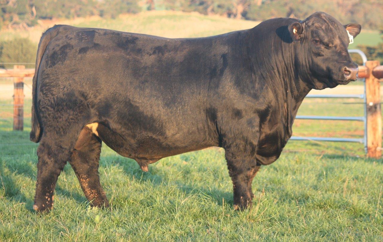 Top Price 2025 Spring Sale