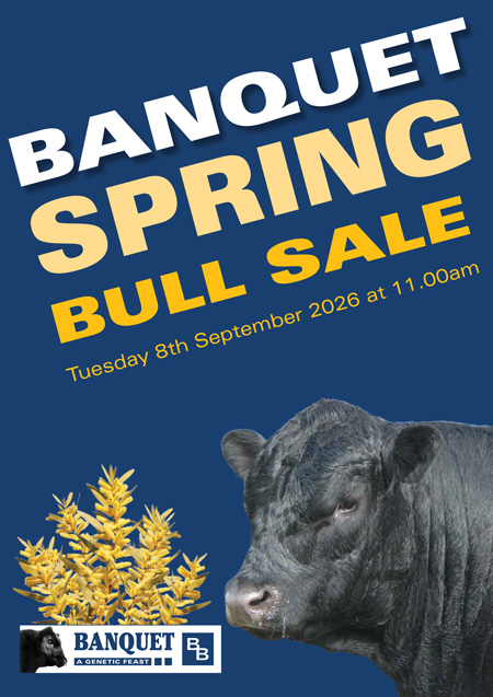 Banquet-Angus-Spring-2026-Sale-Catalogue-1