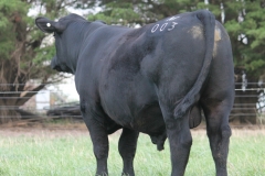 LOT 18 - M003 (1)