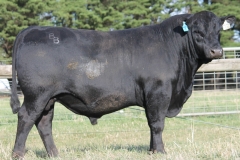LOT 3- L103