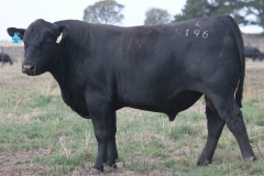 LOT 30- L196