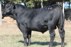 LOT 44 -L150