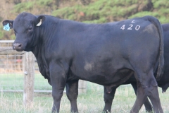 LOT 47- L420