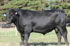 LOT 5- L021