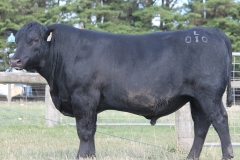 LOT 6 - L010