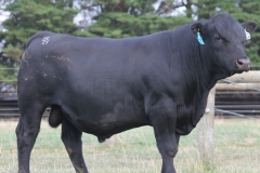 LOT 67- L364