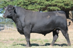 Lot 12 - L007