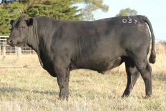 Lot 14 - L037