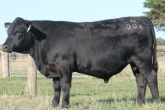 Lot 19 - M004
