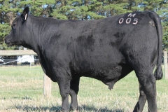 Lot 20 - M005