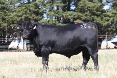 Lot 89 - M304 IMG_1304