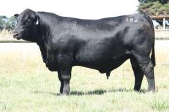 Lot-93-R282-IMG_5757-2