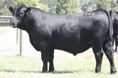Lot-98-R444-IMG_5616-2