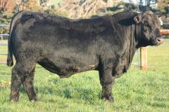 Lot-20-V007-IMG_0357-2