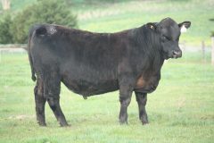 Lot 10 - Banquet Wagstaff W169