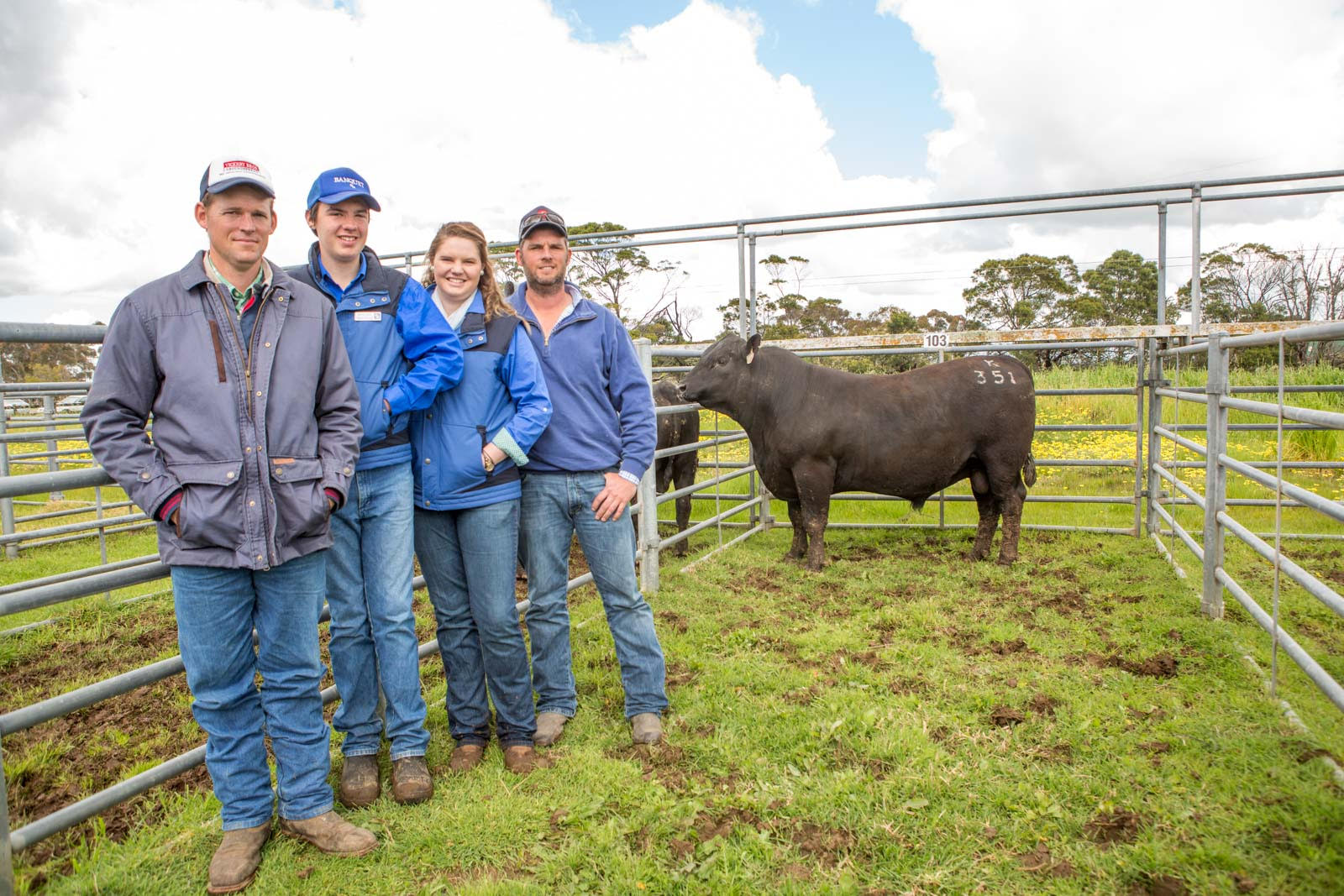 Top Price 2016 Spring Bull Sale